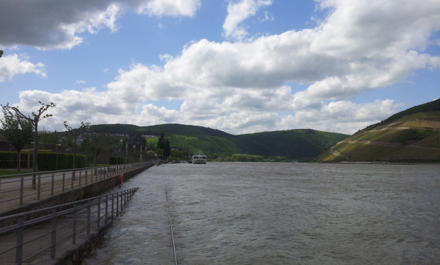 Bin RheinpromenadeHochwasser _Mai 2015
