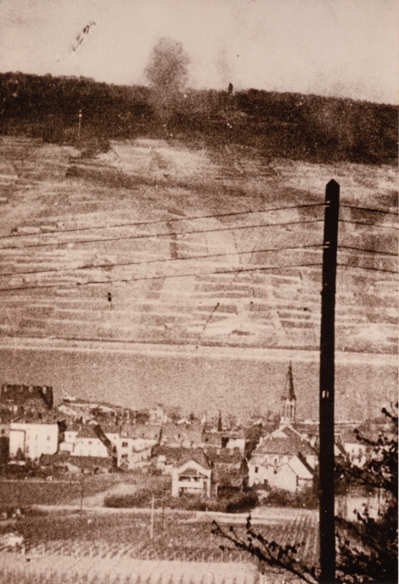 Bingen Stadt Rhein Niederwald Bombenkrieg 10
