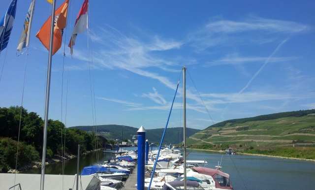 Rhein Hafen Bingen Juni 2014