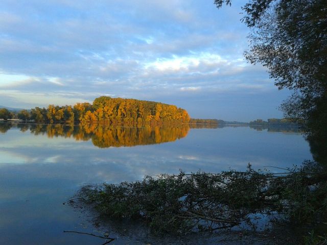 Rheinauen Herbst Okt 2016 B