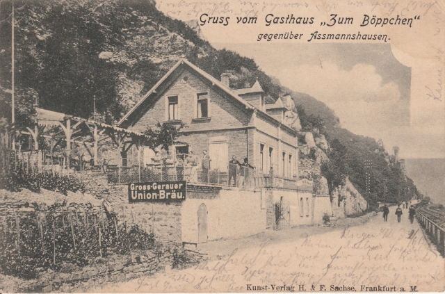 Umgebung v Bingen Haus Boeppchen 1901